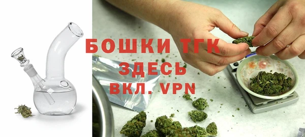 мдпв Киреевск