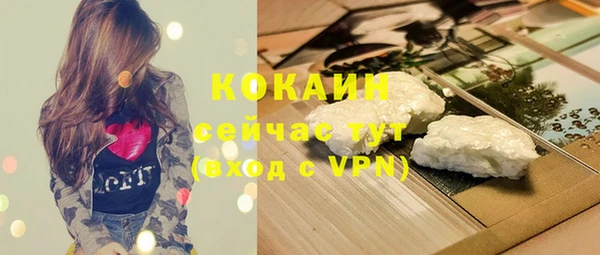 мдпв Киреевск